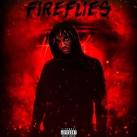Fireflies