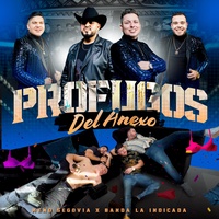 Profugos del Anexo