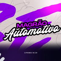 MAGRÃO AUTOMOTIVO