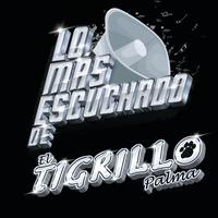 El 24