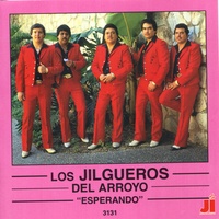 Ilusion Sin Esperanza