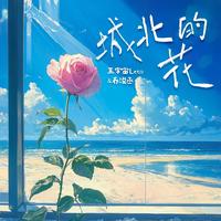 城北的花(架子鼓版)