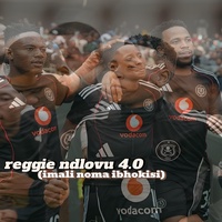 Reggie ndlovu 4.0 (imali noma ibhokisi)