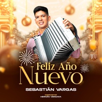 Feliz año nuevo