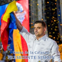 Presedinte Simion