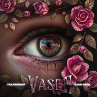 Vasleh