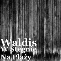 W Stegnie Na Plaży
