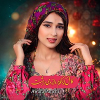 آهنگ جدید افغانی (کاش که دلکم دروازه میداشت) | New Afghani Song