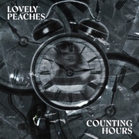 Counting Hours