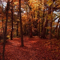 the best season