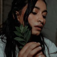 Echo