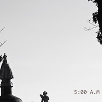 Twilight