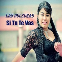 Si Tu Te Vas