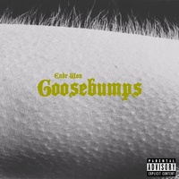 Goosebumps