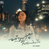 ทําพรือให้หายคิดถึง