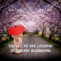 Lost in Japan