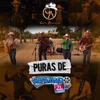 La Birria