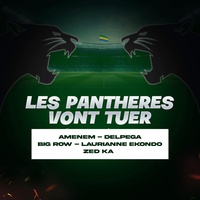 LES PANTHÈRES VONT TUER