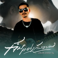 เจ็บแต่เก็บอาการ