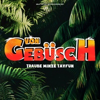 Von Gebüsch