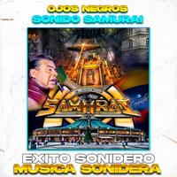 Ojos Negros, Exito Sonido Samurai