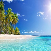 Ven Amor - Edición de Radio