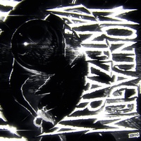 MONTAGEM VANEZARIA - Slowed