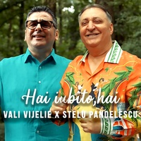 Hai iubito,hai