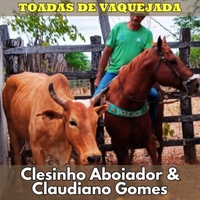 Vaqueiro Nordestino