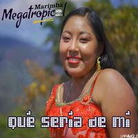 Qué sería de mí
