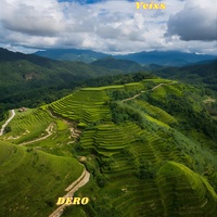 Dero