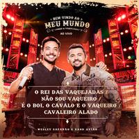 O Rei das Vaquejadas / Não Sou Vaqueiro / É o Boi, o Cavalo e o Vaqueiro / Cavaleiro Alado (Ao Vivo)