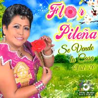 Nunca Pensé Enamorarme