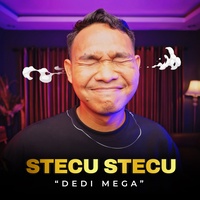 Stecu Stecu