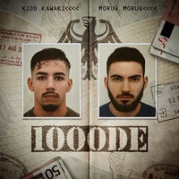 1000DE