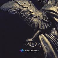 Angels (Miguel)