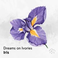 Iris (Piano Version)