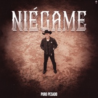 Niégame