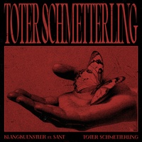 Toter Schmetterling - Single Edit