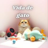 Vida de gato