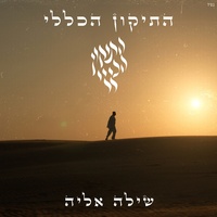 התיקון הכללי