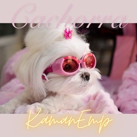 Cachorra