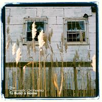 To Build A Home - Album Edit