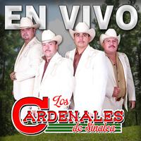 Si Me Sueñas - En vivo