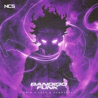 BANDIDO FUNK