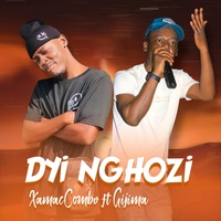 Dyi nghozi