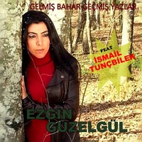 Gelmiş Bahar Geçmiş Yazlar