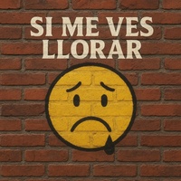 Si me ves llorar