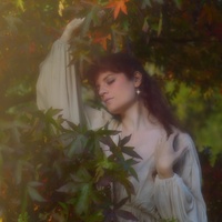 Garden Of Falling Light