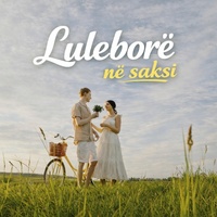 Luleborë në saksi